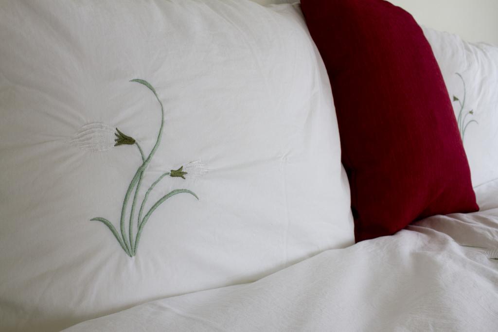 Graystone Guesthouse Sandgerthi Luaran gambar